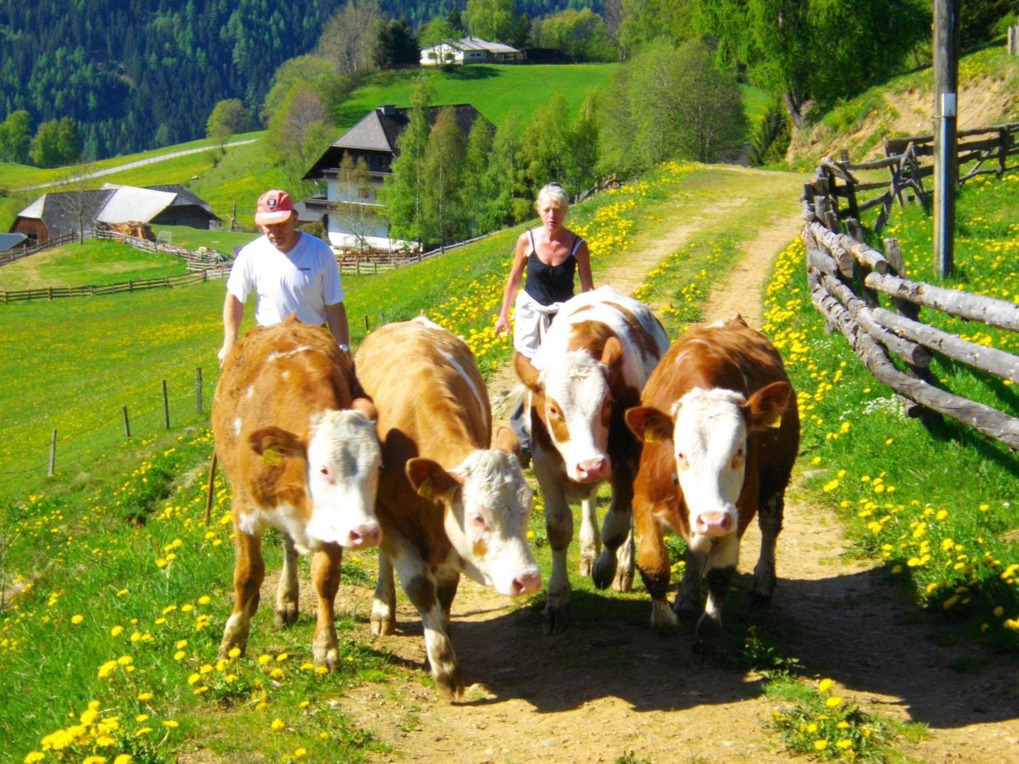 Gaestehaus Bischof Schöder Kültér fotó